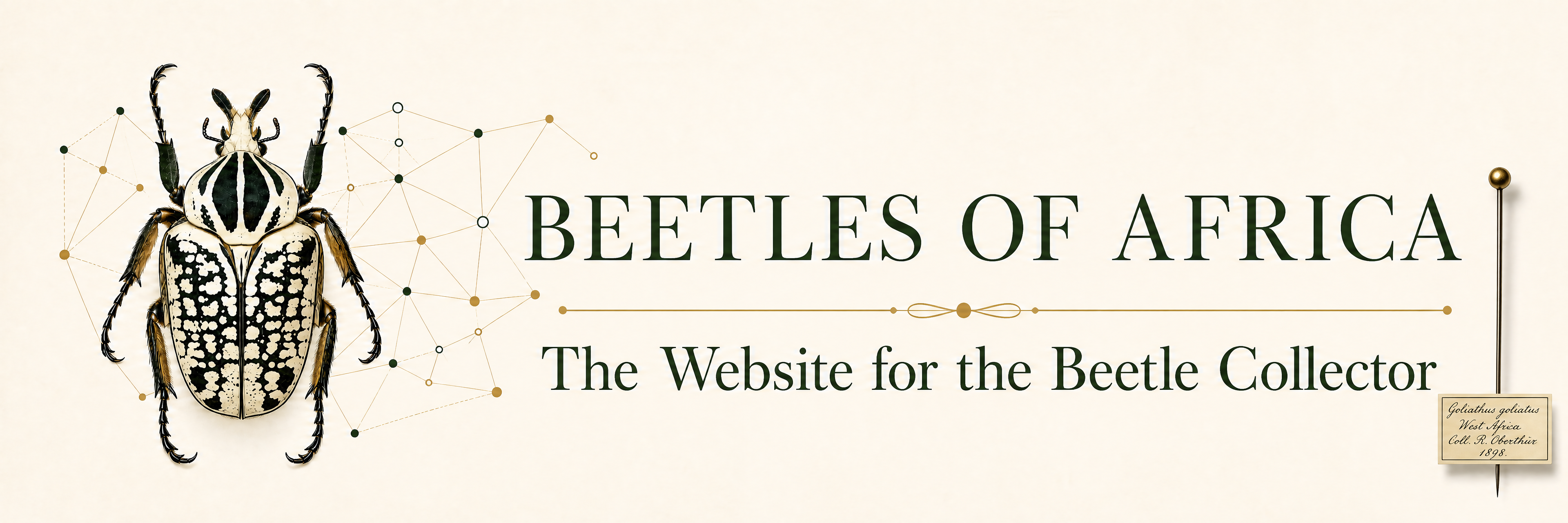 Beetles of Africa Logo
